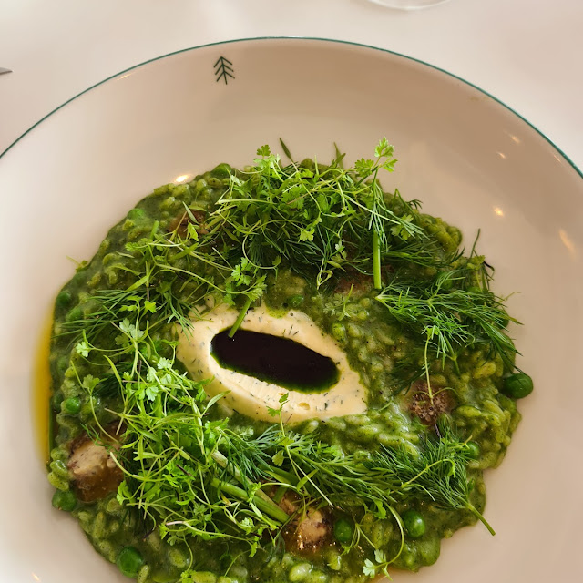 Risotto