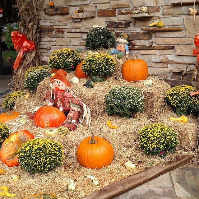 Pumpkin