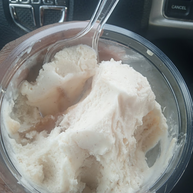 Sugar Free Apple Pie Ice Cream