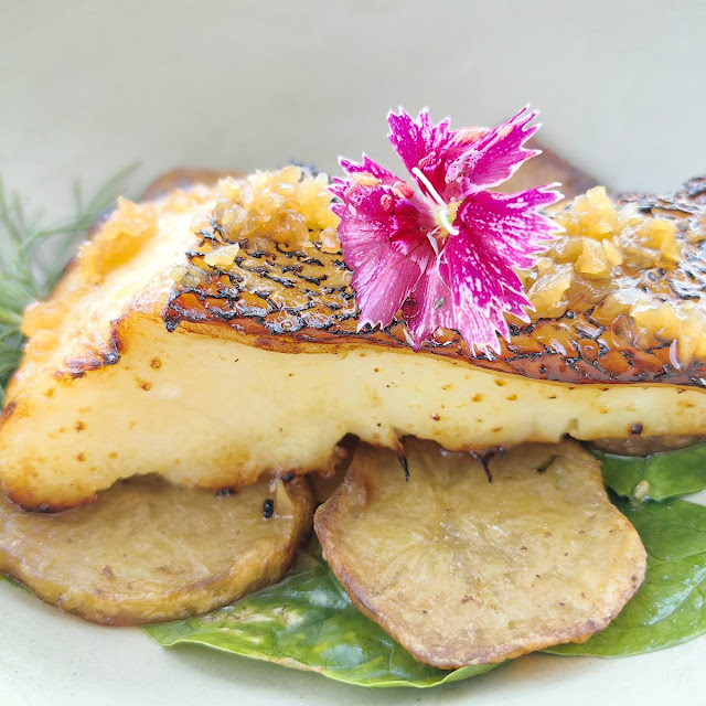 Miso Gindara