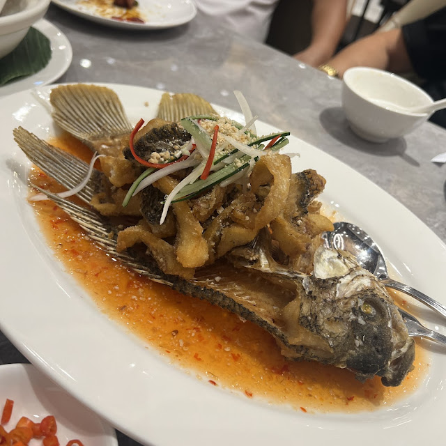Ikan Malas Tim Hongkong