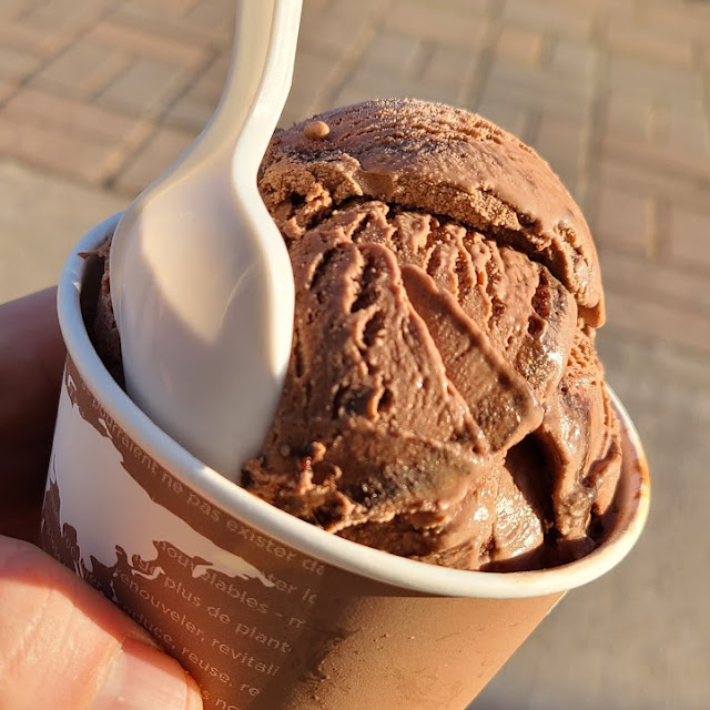 Double Chocolate Ice Cream