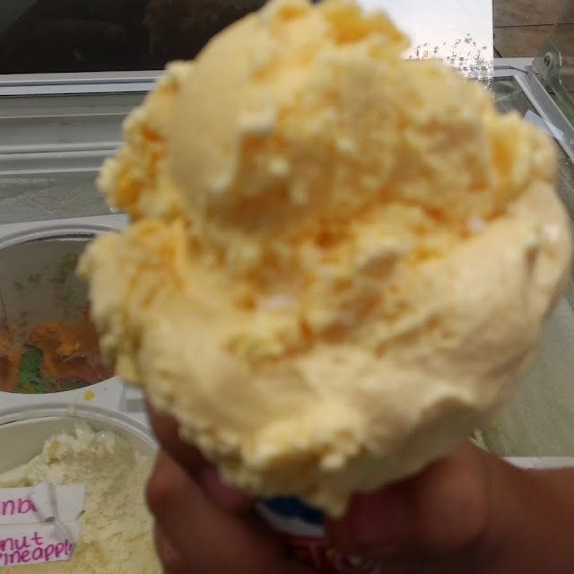 Vanilla Ice Cream