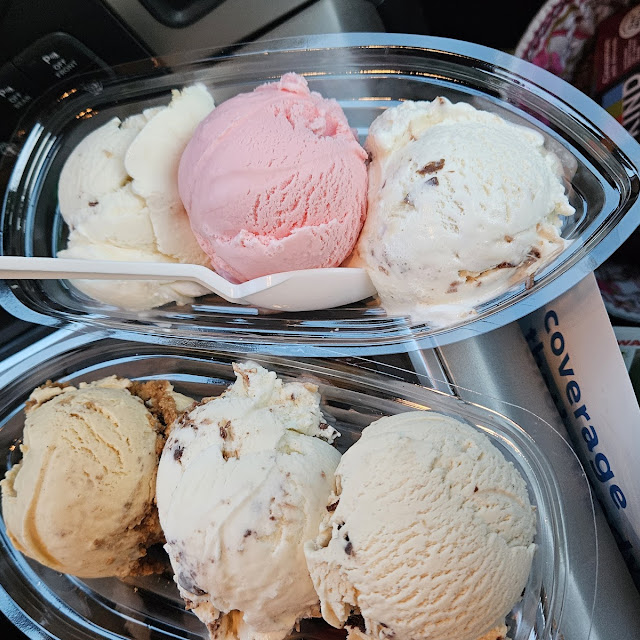 Ice Cream Flight