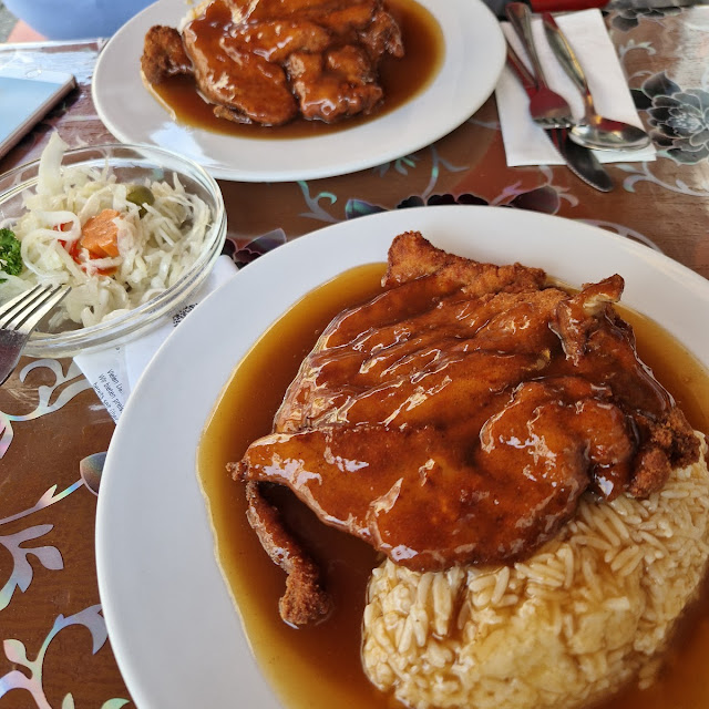 Tori Katsu Mit Bratensauce Und Reis