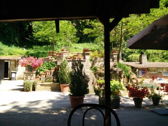 Trattoria Ponte Vecchio da Gino