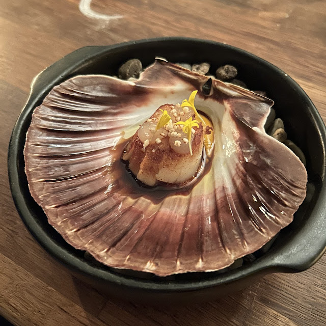 Jakobsmuschel Seeigel Yuzu XO Sauce