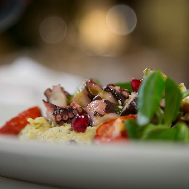 Octopus Salad With