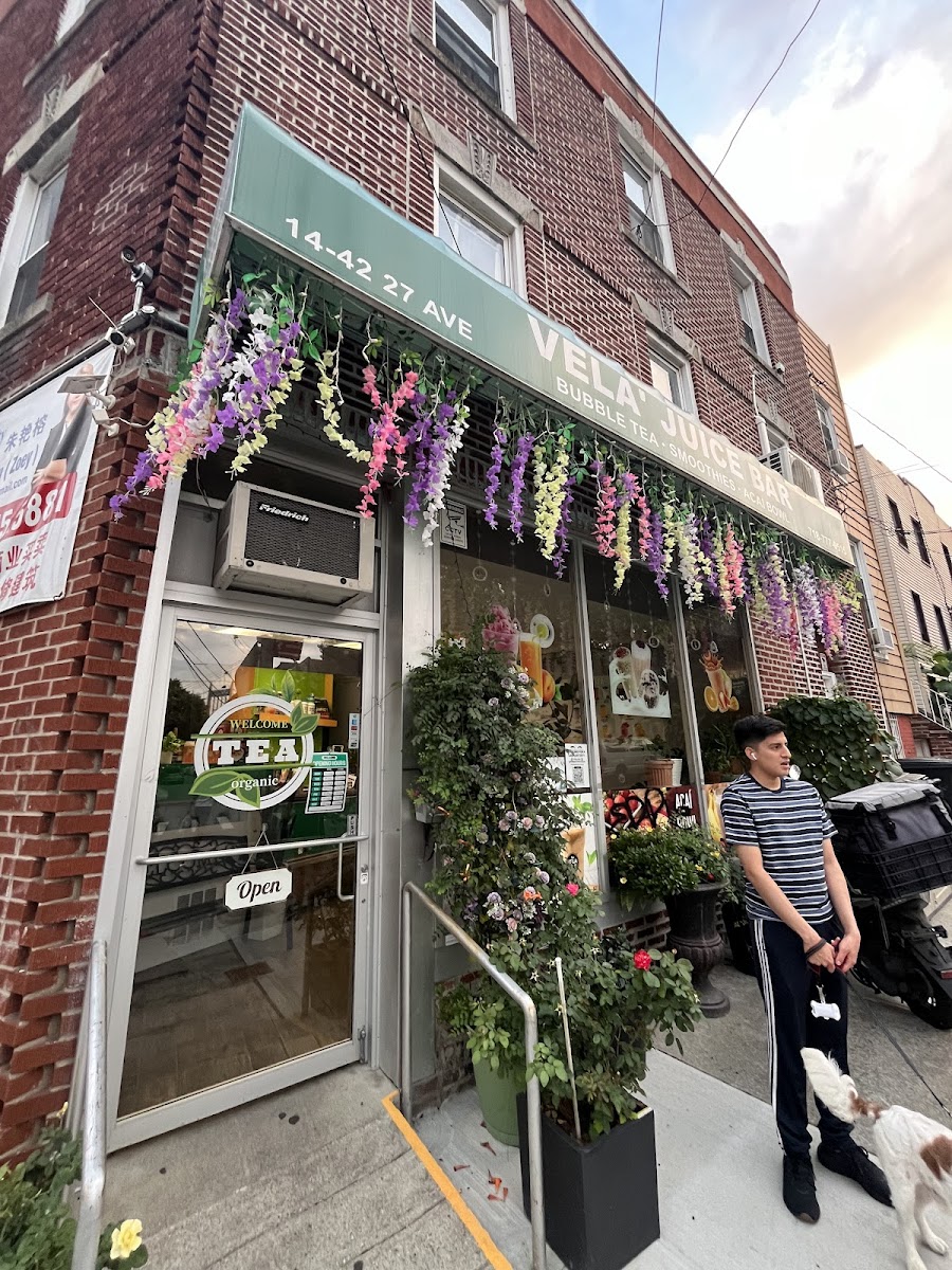 Vela Juice Bar