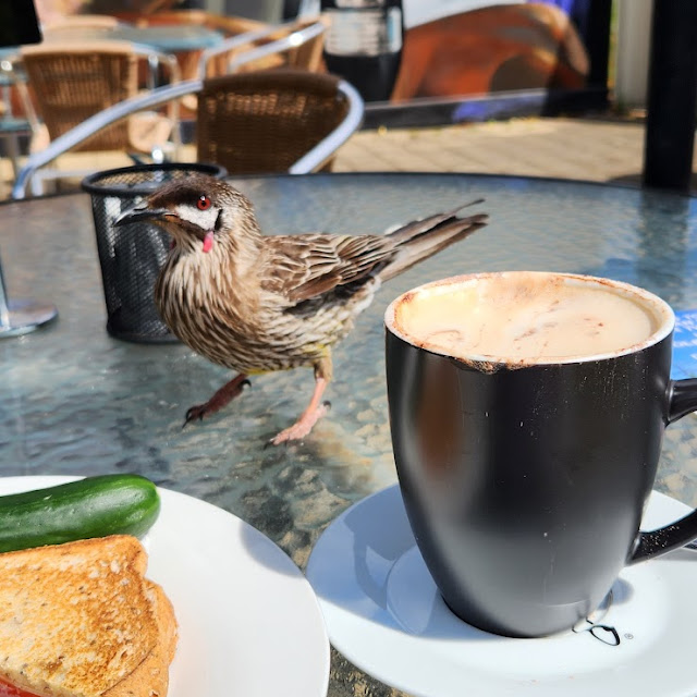 Cappuccino Toastie