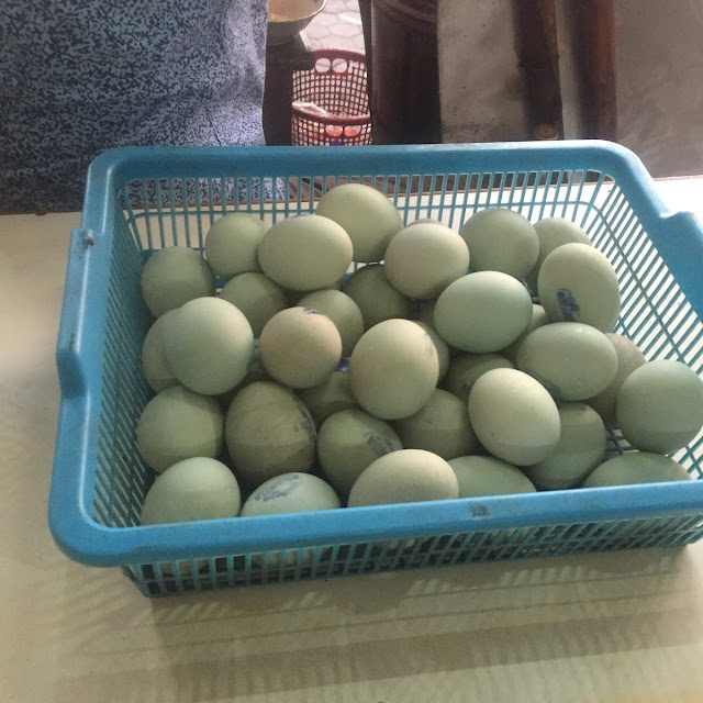 Telor Asin
