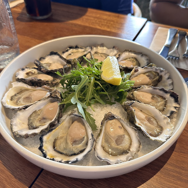 Oysters