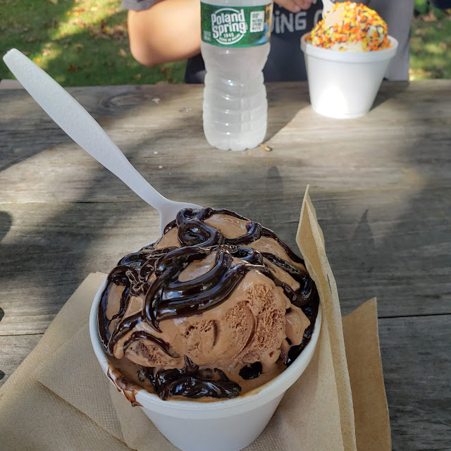 Chocolate Fudge Brownie Ice Cream with Hot Fudge