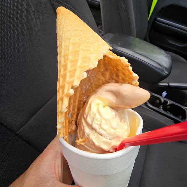Baby Chocolate Vanilla Twist in a Waffle Cone Upside Down