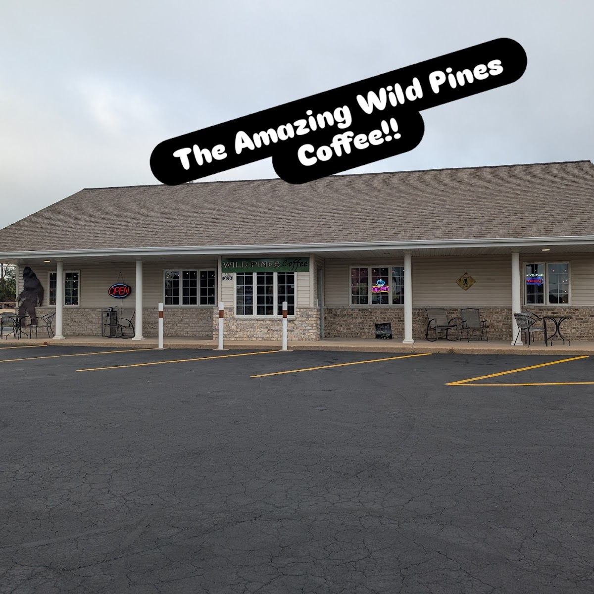 Wild Pines Coffee & Roasters