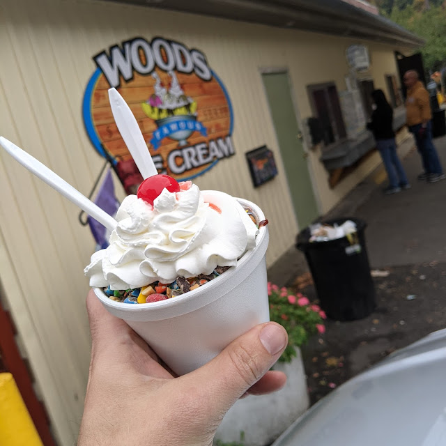Doggie Sundae