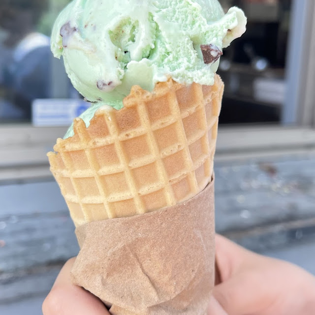 Mint Chocolate Chip Hand Dipped Ice Cream