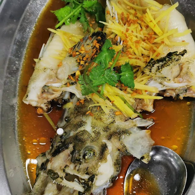 龍虎斑魚