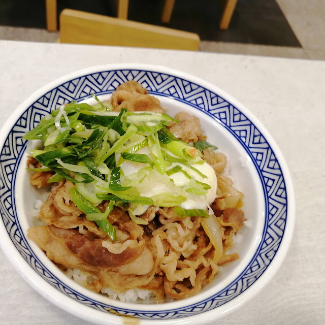 Gyudon with Green Onion and Egg Roll
