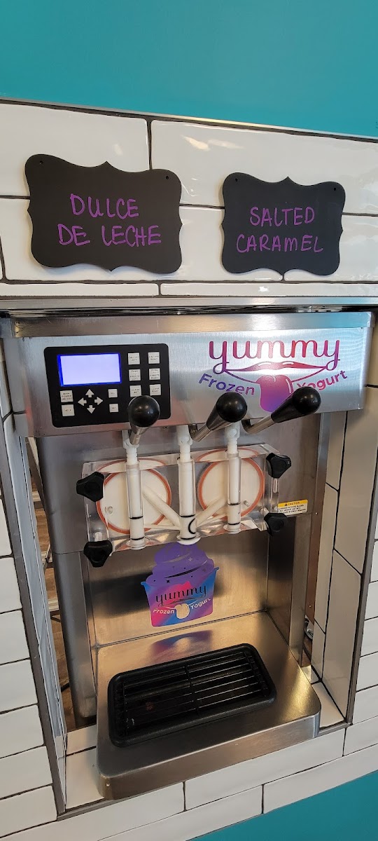 Yummy Frozen Yogurt