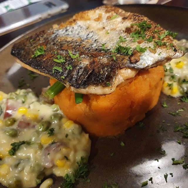 Salmon