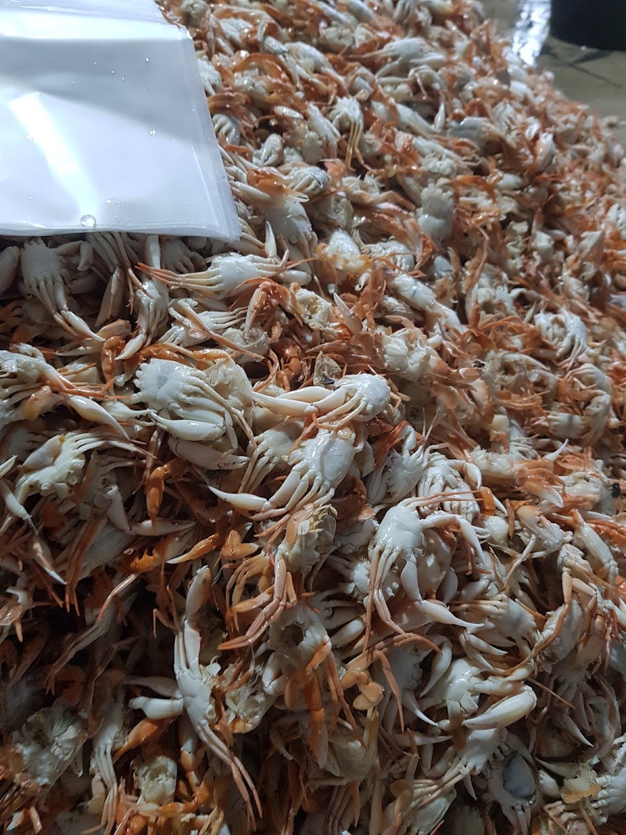 Zahra seafood(babycrab)