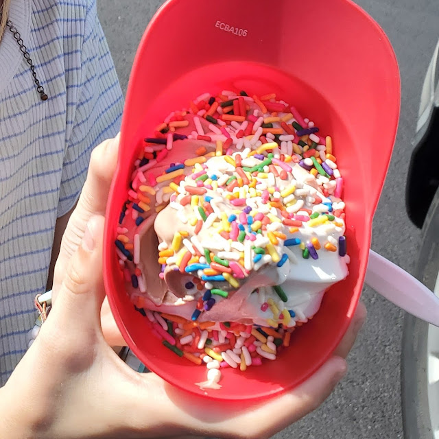 Pre-Frozen Yogurt